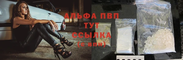 молекула духа Алексин