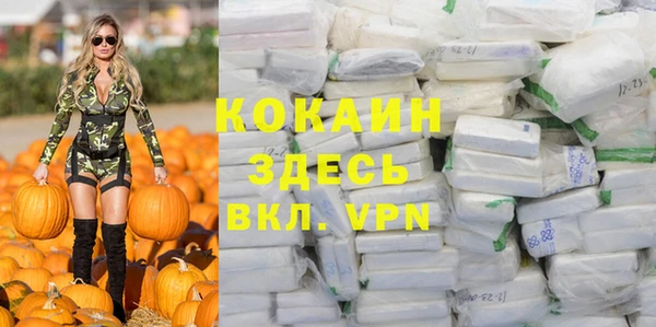 молекула духа Алексин
