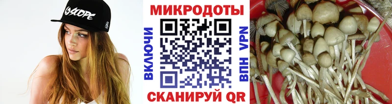 Галлюциногенные грибы мицелий  закладка  Алексеевка 